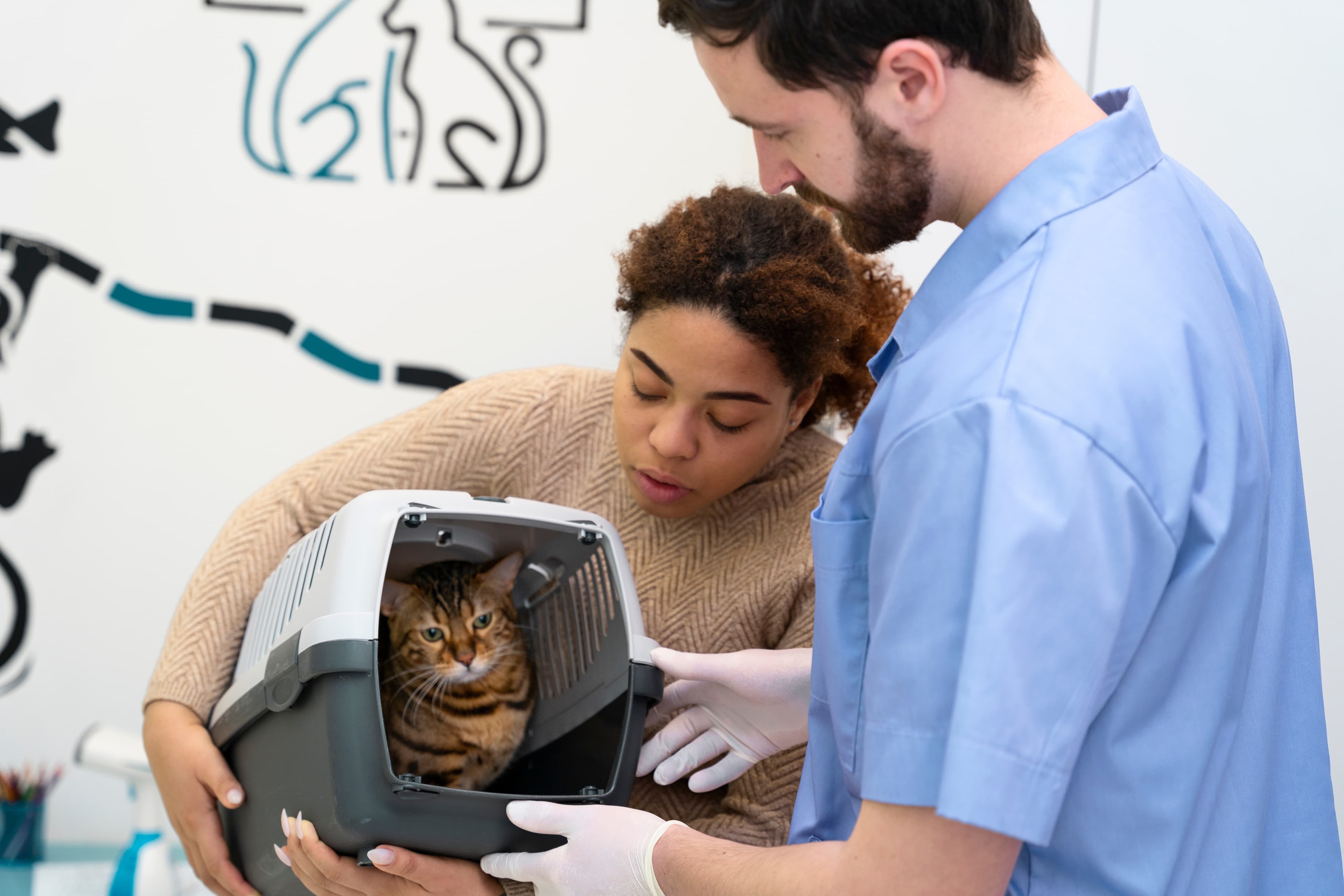Vet care